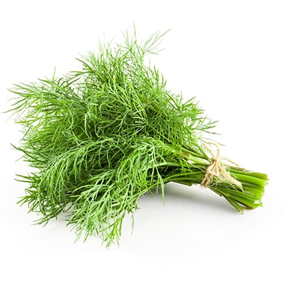 Dill