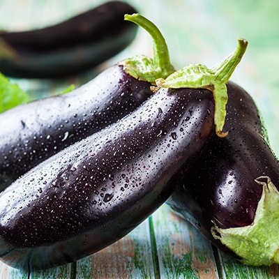 Eggplant