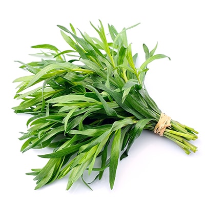 Tarragon