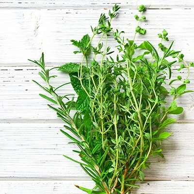 Thyme