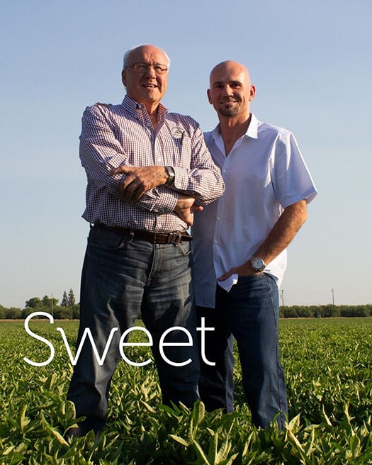 Two men standing in field