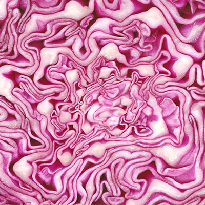 Cabbage