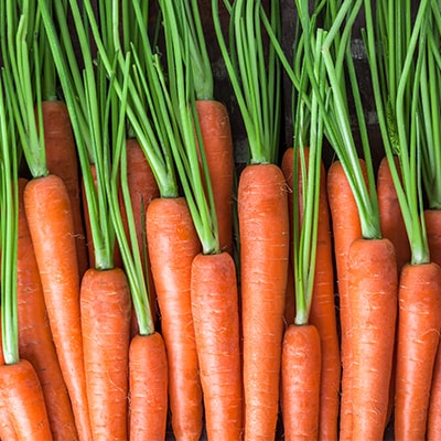 Carrots