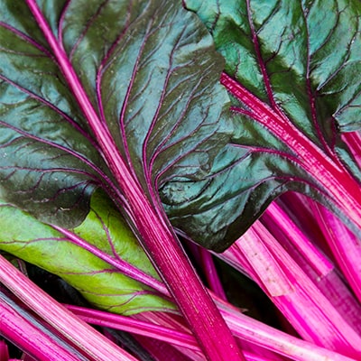 Chard